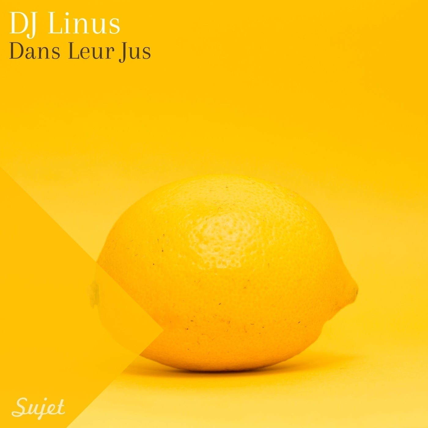 DJ Linus – Dans Leurs Jus [SM77]